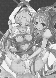 (C87) [Rope Island (Miyanoyuki)] Honey Candy no Hanbun wa Yasashisa de Dekiteiru (HappinessCharge Precure!) - page 2