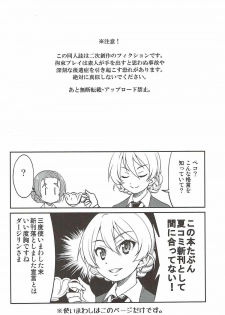 (SC2017 Autumn) [Ponyfarm (Inoue Yoshihisa)] Darjeeling-sama no Ponytail (Girls und Panzer) - page 3