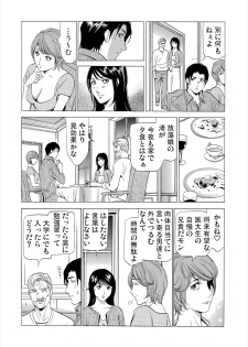 [fonteynart] Gibo netori (Mother-in-law netori) vol.2~ fukushū no yakata - page 9