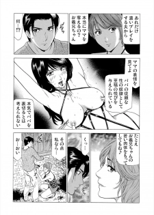 [fonteynart] Gibo netori (Mother-in-law netori) vol.2~ fukushū no yakata - page 22