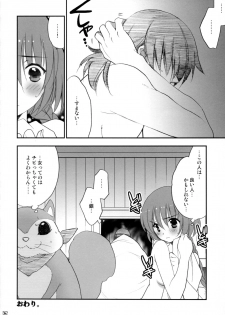 (C77) [NIKKA (Mario Kaneda)] Ryuusei LOVERS 2 (DARKER THAN BLACK) - page 31