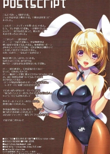 (C84) [slice slime (108 Gou)] Hatsujou Usagi no Shitsukekata (IS <Infinite Stratos>) - page 13