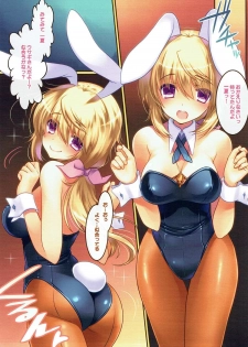 (C84) [slice slime (108 Gou)] Hatsujou Usagi no Shitsukekata (IS <Infinite Stratos>) - page 2