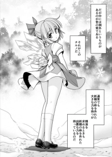 [Yosutebito na Mangakaki (Tomoki Tomonori)] Seieki ni Muragari Suitsuku Yousei-tachi (Touhou Project) [Digital] - page 20