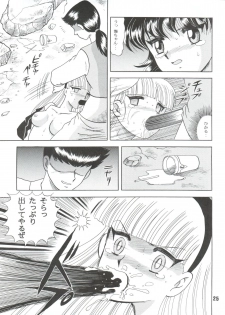 [Cross Fight!! (Gattai Soutou)] Sacrifice Kanzenhan (Magic Knight Rayearth) - page 25