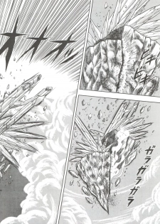 [Cross Fight!! (Gattai Soutou)] Sacrifice Kanzenhan (Magic Knight Rayearth) - page 16