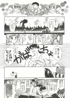 (Comic Castle 8) [Paradise City (Various)] Tabeta Kigasuru 17 (Neon Genesis Evangelion) - page 11
