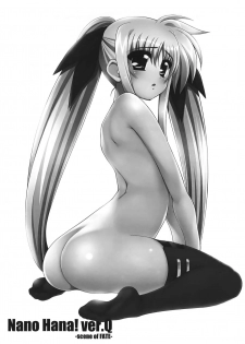 (C81) [Kossorikakuredokoro (Island)] Nano Hana! ver.Q -scene of FATE- (Magical Girl Lyrical Nanoha) [Chinese] [靴下汉化组] - page 3