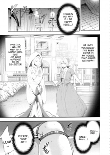 [Miyahara Ayumu] Doll no Yakata [English] [desudesu] - page 14