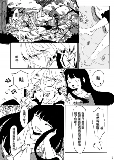 (Reitaisai 11) [Akou Kurou (Komac)] Dekisokonai Honey Syrup (Touhou Project) [Chinese] [大友同好会] - page 4