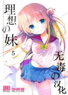 [INS-mode (Amanagi Seiji)] Risou no Imouto 5 [Chinese] [无毒汉化组] [2017-08]