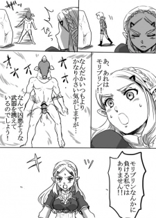 [Wasabi] Link to Zelda no Shoshinsha ni Yasashii Sex Nyuumon (The Legend of Zelda: Breath of the Wild) - page 5