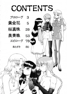 (C65) [Rat Tail (Irie Yamazaki)] Princess Harem - page 3