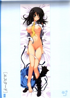Dakimakura Cover Gashuu Bishoujo Game Hen - page 27