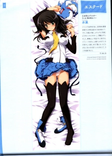 Dakimakura Cover Gashuu Bishoujo Game Hen - page 26