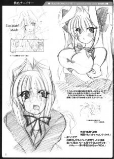 (C67) [PEACHBOOKS Hachinohe-ten (Upi Cecile)] Momo Iro Chaser (Di Gi Charat) - page 22