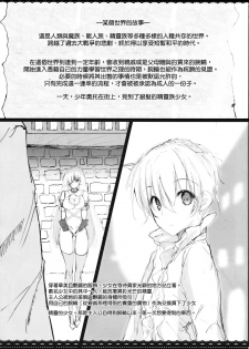 (C92) [Kansen Shoujo (Noto Kurumi)] ANEKAI [Chinese] [CE家族社] - page 2