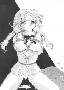 [Himawari Endan (Ayano Naoto)] VERTEX (Tenchi Muyo, Sailor Moon, Samurai Spirits) - page 35