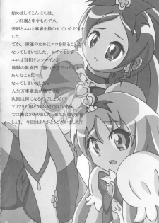 (C79) [20R0 (Various)] Sange Ichirin (HeartCatch Precure!) - page 11