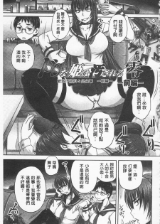 [Nozarashi Satoru] Do S na Hime wa Kegasareru -Inga no Shou- | 超S的公主被玷汙了 ～因果之章～ [Chinese] - page 10