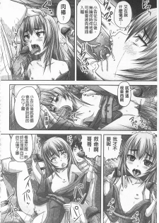 [Nozarashi Satoru] Do S na Hime wa Kegasareru -Inga no Shou- | 超S的公主被玷汙了 ～因果之章～ [Chinese] - page 19