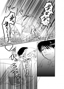 [Kyoka Suigetsu] Rh - no koi 1 (Fullmetal Alchemist) - page 39