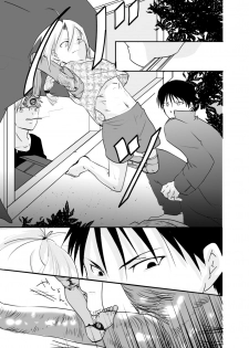 [Kyoka Suigetsu] Rh - no koi 1 (Fullmetal Alchemist) - page 19