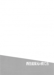 (C92) [chested (Tokupyon)] Nishizumi-Ryuu Iemoto no Sodatekata (Girls und Panzer) - page 3
