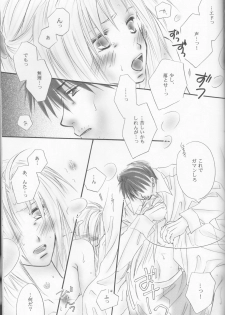 (C69) [Bloodtype-B (Morikawa Narumi)] UNI-SEX (Fullmetal Alchemist) - page 28