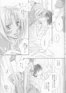 (C69) [Bloodtype-B (Morikawa Narumi)] UNI-SEX (Fullmetal Alchemist) - page 18