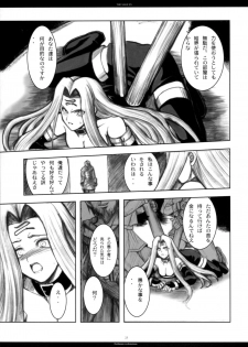 (C71) [R-WORKS (ROS)] The SAGE ex Yoru Nuki Rider-san (Fate/stay night) - page 24