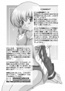 [Studio Wallaby (Takana Yu-ki)] SECRET FILE NEXT 12 - The Unhealing Cross Scar [Gundam Seed Destiny] [Digital] - page 25