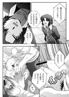 [Studio Wallaby (Takana Yu-ki)] SECRET FILE NEXT 12 - The Unhealing Cross Scar [Gundam Seed Destiny] [Digital] - page 12