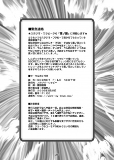 [Studio Wallaby (Takana Yu-ki)] SECRET FILE NEXT 12 - The Unhealing Cross Scar [Gundam Seed Destiny] [Digital] - page 26