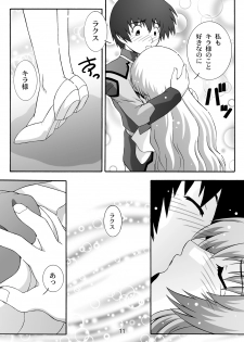 [Studio Wallaby (Takana Yu-ki)] SECRET FILE NEXT 8 - Afternoon Tea (Gundam Seed) [Digital] - page 11