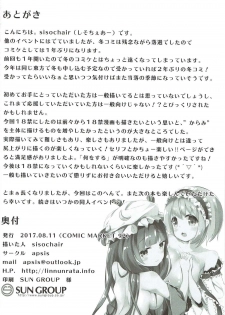 (C92) [Apsis (Sisochair)] Mahoutsukai wa Kanjitai (Touhou Project) - page 17