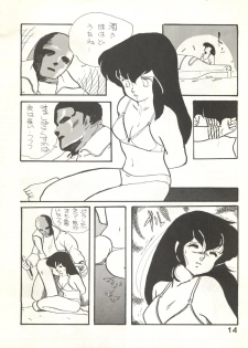 (C27) [Bible (Ogata Satomi, Tiger Shark, Sukurinton)] Natsuzuisen (Maison Ikkoku) - page 14