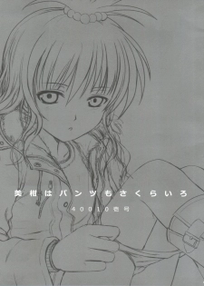 (C77) [40010 1-GO (Shimanto Shisakugata)] Mikan ha Pantsu mo Sakurairo (To LOVE-Ru) - page 4
