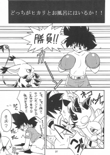 [RIROLAND (Kuuya, Satomi Hiroyuki)] MY FAVOURITE (Digimon Adventure) - page 9