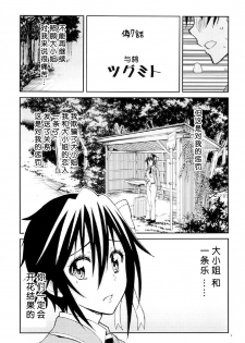 (C89) [Project Harakiri (Kaishaku)] Nisenisekoi 7 (Nisekoi) [Chinese] - page 4