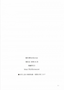 (C76) [Lily Lily Rose (Mibu Natsuki)] 8-gatsu no Aru Hareta Asa ni 100% no Onnanoko to Deau Koto nitsuite (Saki) - page 29