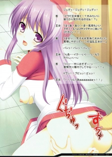 [Rip@Lip (Mizuhara Yuu)] cure moon dog (Dragon Quest II) - page 11