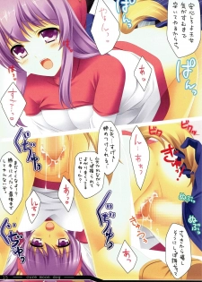 [Rip@Lip (Mizuhara Yuu)] cure moon dog (Dragon Quest II) - page 14