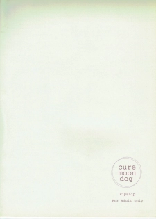 [Rip@Lip (Mizuhara Yuu)] cure moon dog (Dragon Quest II) - page 18