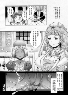 [Shuko] Toaru Kuni no Yotogibanashi (Girls forM Vol. 13) [Chinese] [小付个人汉化] - page 16