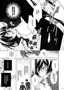 (C77) [Reflection (Panta)] Dare mo Inai Shiro (Code Geass: Lelouch of the Rebellion) [Chinese] [无毒汉化组] - page 5