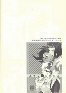 (C85) [Gokudou Daigensui (Kayama Noriaki)] LittlePony TragicShark (Yu-Gi-Oh! Zexal) - page 31