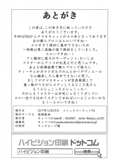 (C93) [Saikutsu Kichi (Kyabetsuka)] Tamamo Cat no Neko Manma (Fate/Grand Order) - page 22