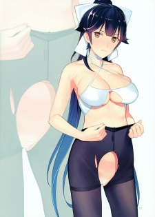 (C93) [Lily Lily Rose (Mibu Natsuki)] Shimaijiri (Azur Lane) - page 14
