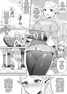 (C93) [Morittokoke (Morikoke)] Hyrule Hanei no Tame no Katsudou! | Activities for the Sake of Hyrule’s Future! (The Legend of Zelda) [English] {darknight} - page 4